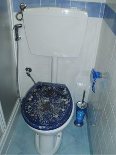 Dotato di servizi igienici, doccia e lavabo