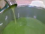 Pregiatissimo extra virgin olive oil Nocellara of Belice
