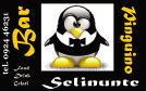The logo of Bar Penguin Sea