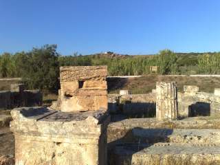 Further north of the Shrine of Malophoros there is another shrine dedicated to Zeus Meilìchios