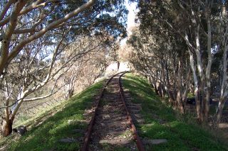 Vecchia linea ferroviaria all'interno della Riserva del Belice che collegava Selinunte con Menfi. Il fiume belice viene attraversato da un ponte detto "Il ponte di ferro" proprio vicino la foce del fiume belice.