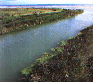 The mouth of the river Belice that flows into the Mediterranean Sea near the railway line veccchia within the reserve belice.